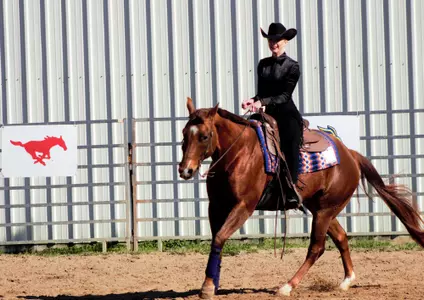 mallory vroegh horsemanship