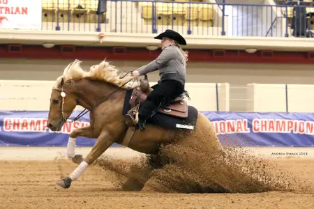 Equestrian Madison Steed ncea championship