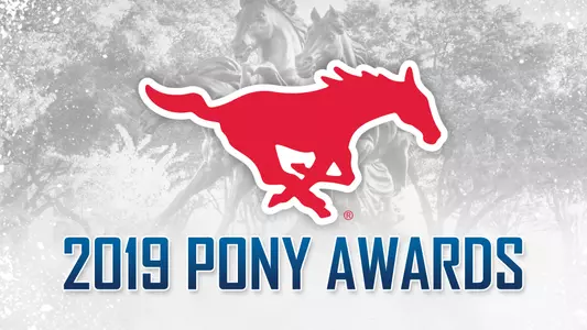 PonyAwaesa19