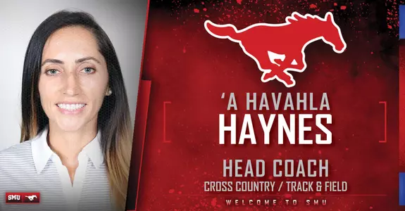 Haynes