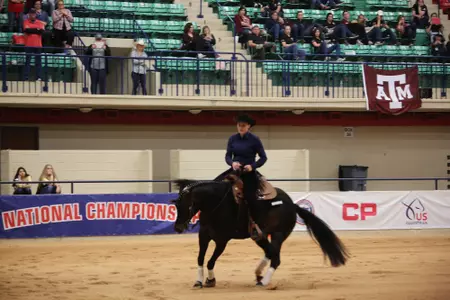 holly lansidel ncea 2019