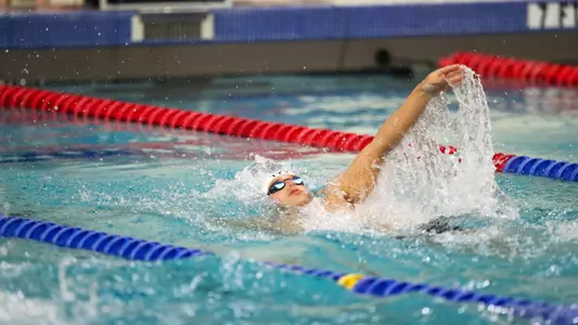 mswim