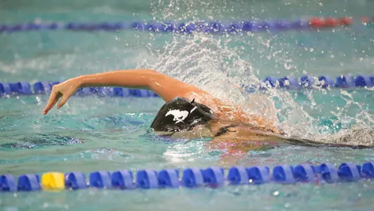 WSWIM