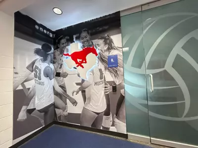Volleyball Updated Lockerroom Photos (2025)