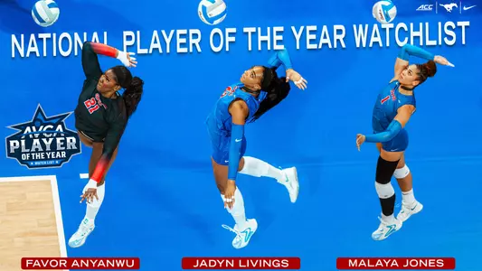 National Player of the Year Watch List Graphic VB 2025