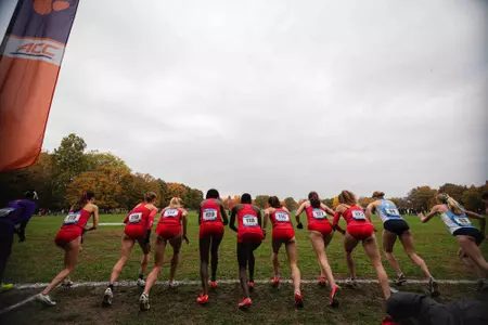 Team Start