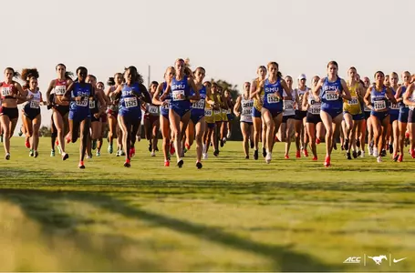 Team at Start