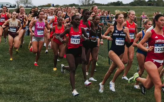 XC