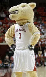 Be the Face of the Program