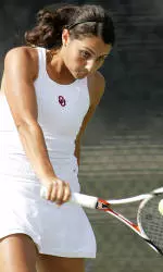 Constantinescu Advances in Utah