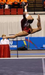 Nine Gymnasts Earn Academic Honor