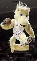 Hoop Troop at Homeland Locations Saturday