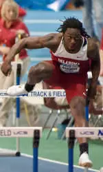 DMR Takes Sixth at NCAA Championships