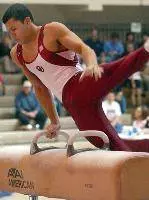 Men's Gymnastics At Michigan Saturday