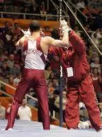 Mens Gymnastics Releases 2005 Schedule