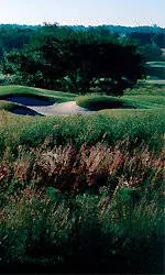 Sooner Alums Open New Territory