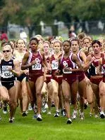 What is Cross Country?