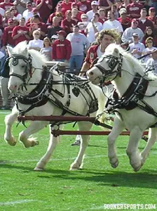 Sooner Fans Encouraged to Wear School Colors