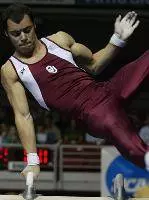 Men's Gymnastics Cruises Past Air Force, 217.650-195.275