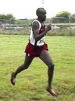 Sooner Cross Country Travels to a Pair of Meets