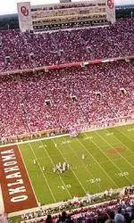 Football Renewal Rate at 99 Percent