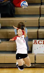 Free Admission at Volleyball Saturday