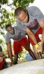 Habit for Teamwork