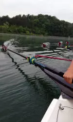 Rowing Selected to First NCAA Championship