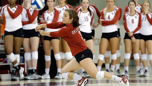 FREE Volleyball This Saturday