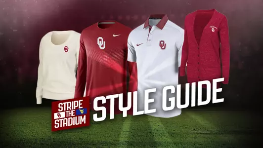 Stripe the Stadium Style Guide