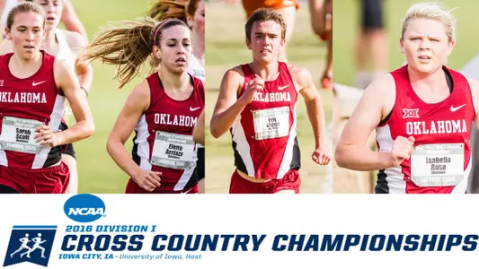 What to Know About Cross Country Regionals