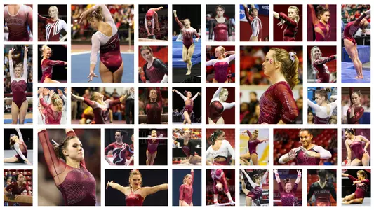 Sooner Leos: From Inspiration to Art