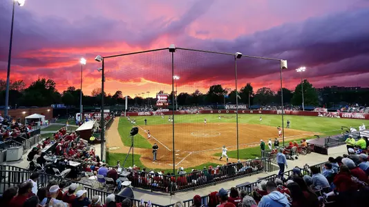 Marita Hynes Field