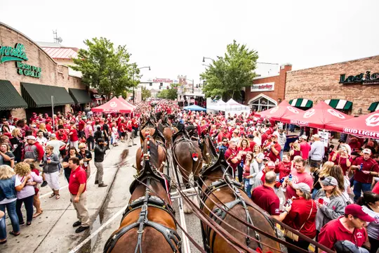Campus Corner-Clydesdales_WP_9233.jpg