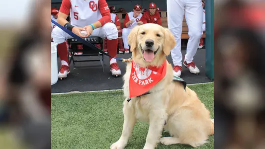 Bark in the Park Set for May 4