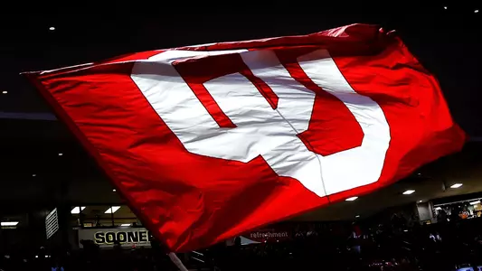 LNC Flag