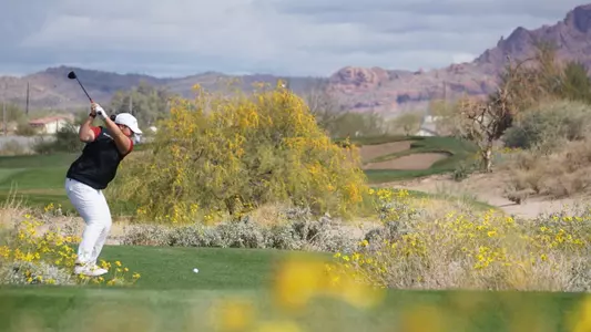 Secor Lead - Longbow