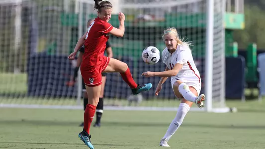 Lead, NC State Sharts