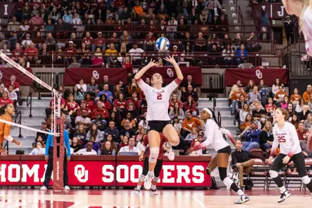 Payton Chamberlain