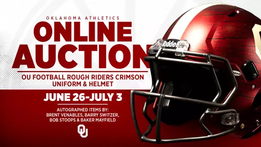 Auction Graphic