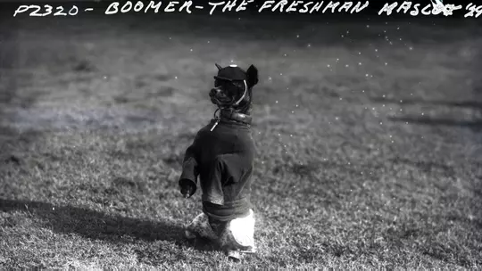 Lead, Boomer the Dog