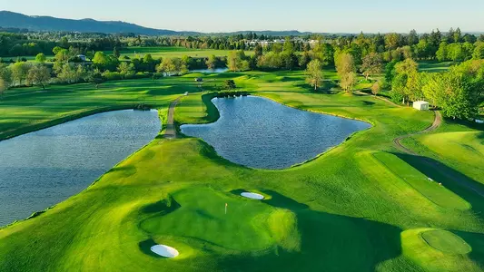 Trysting Tree GC