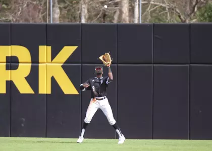 Baseball vs Purdue - Sunday