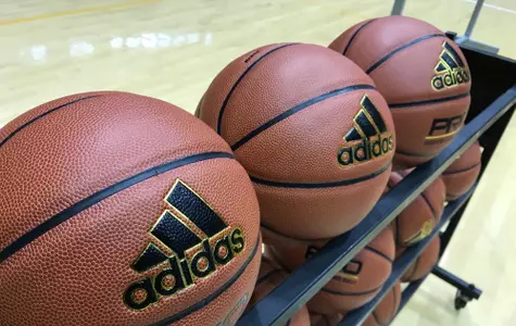 adidas basketballs
