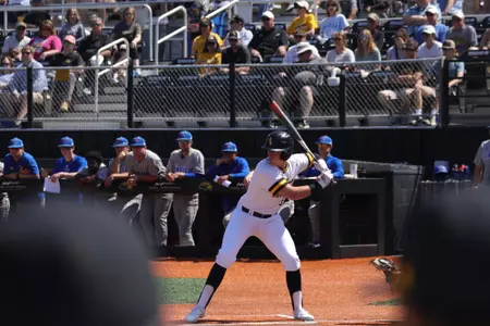 Carson Paetow