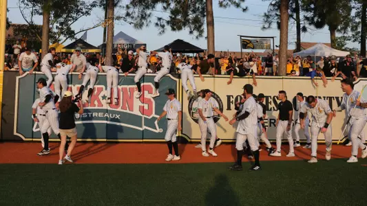 Baseball Celebration