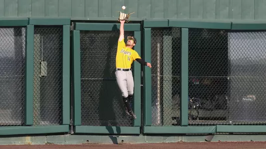 Southern Miss. outfielder Reece Ewing (14) makes a sports center leaping catch in left field up against the wall in a game between the Southern Miss Golden Eagles and Samford Bulldogs in the NCAA Regional Tournament. June 04, 2023 (Joe Harper/bgnphoto.com)