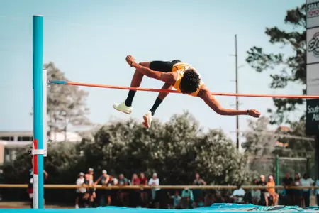 zayne palomino