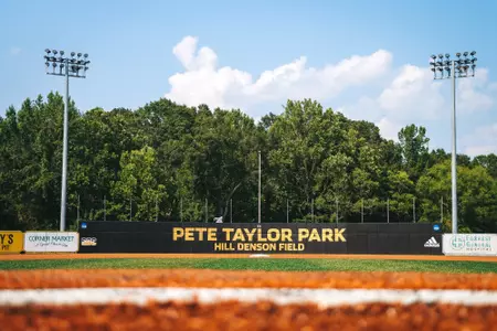 Pete Taylor Park from the Mound