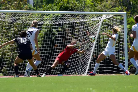 Bruni Save vs. UAB